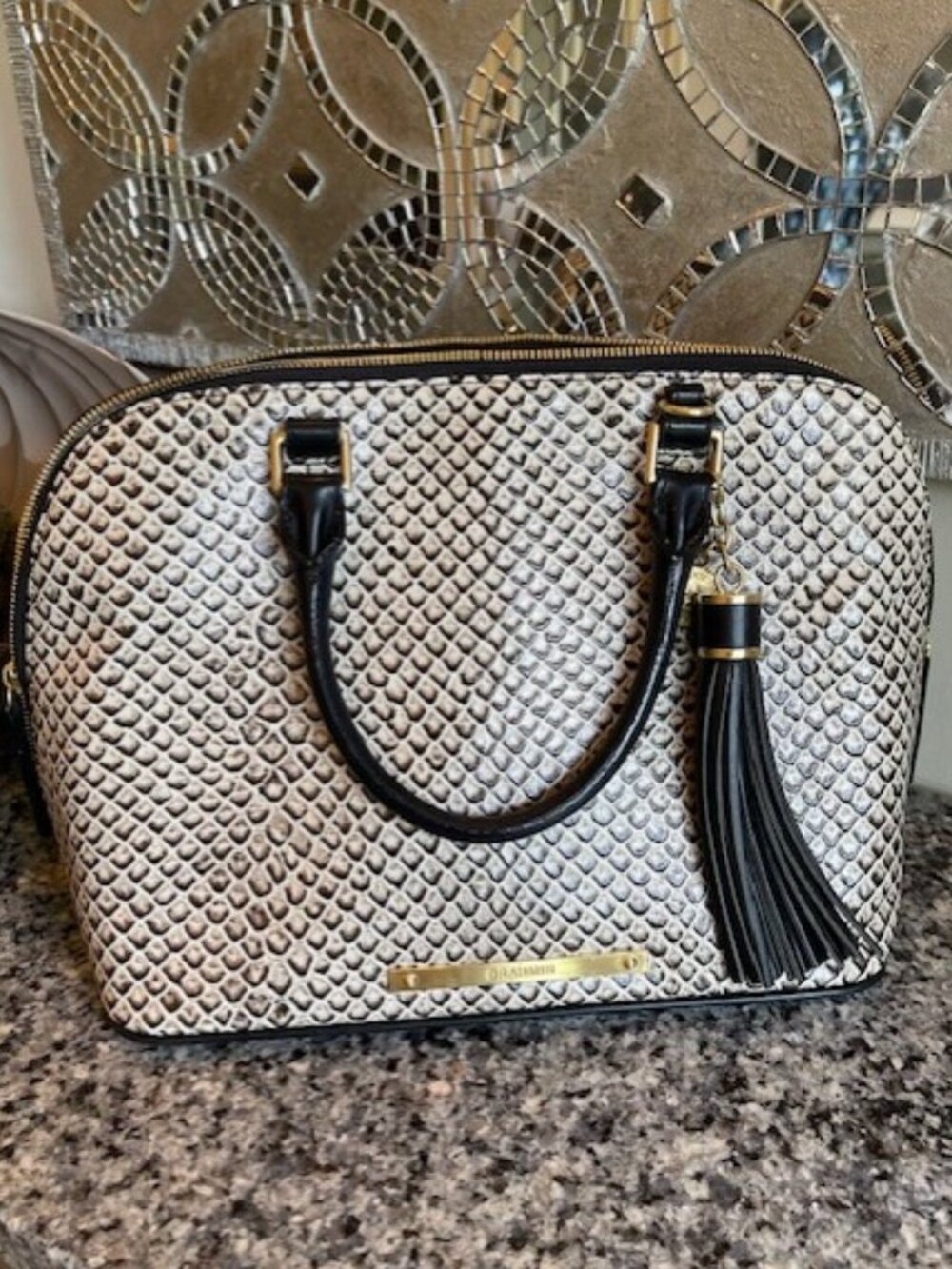 Brahmin Dome Satchel